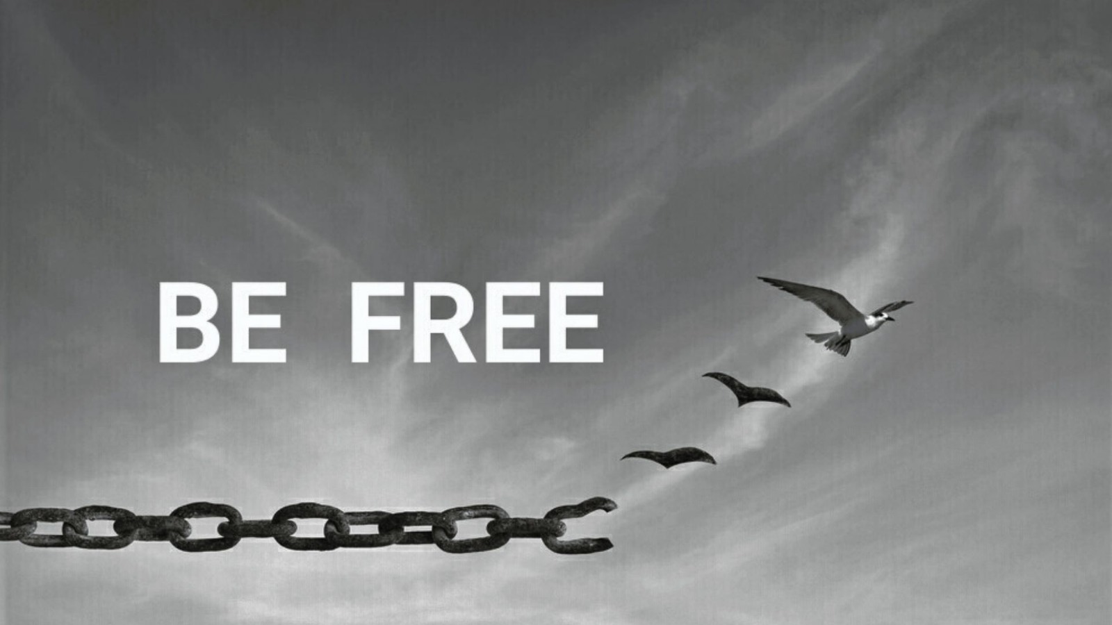 Astrid Gründerin Be free Freiburg